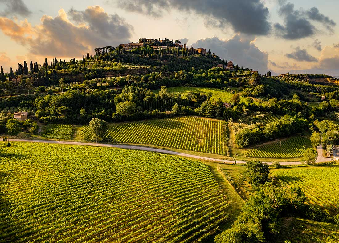 Morbi vitae purus dictum, ultrices tellus in, gravida lectus. 