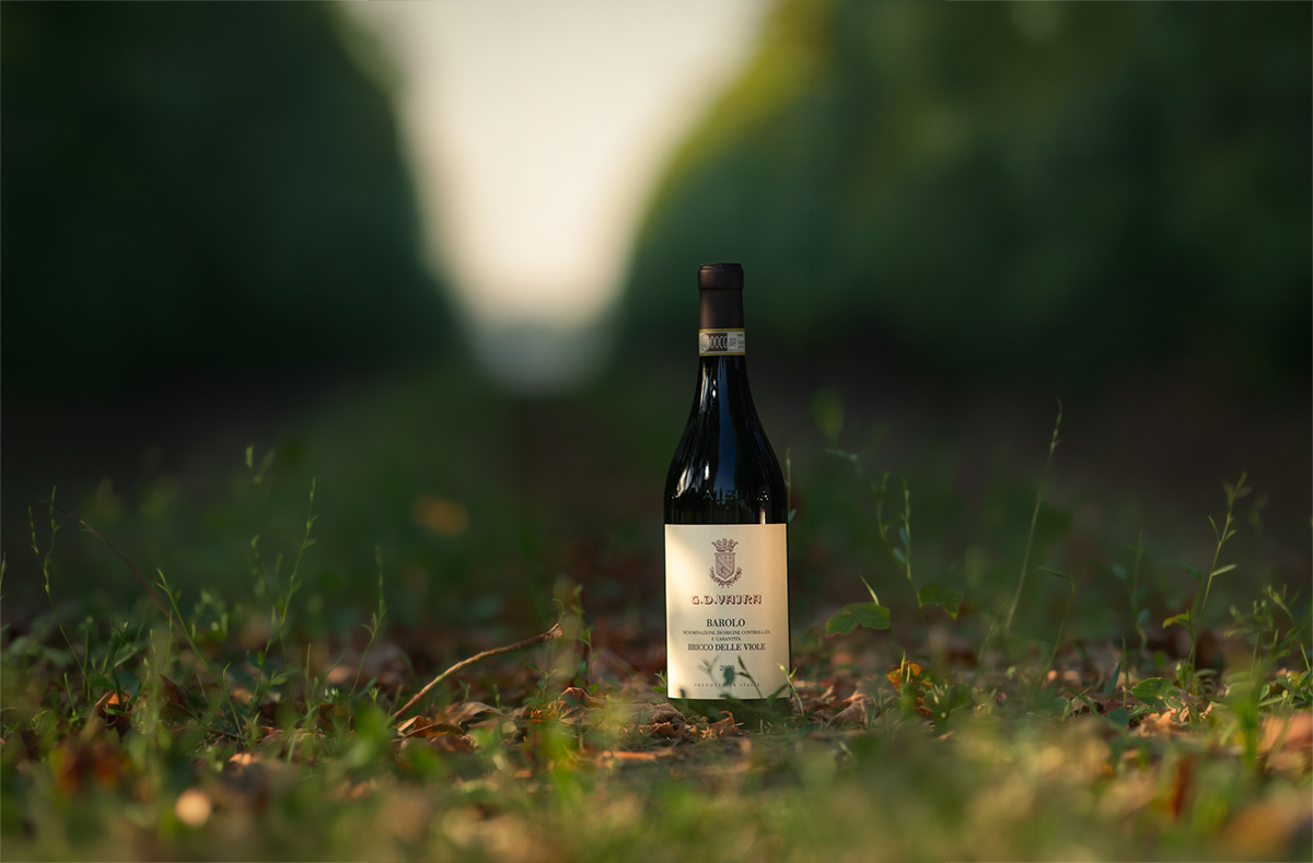 Bottiglia di Barolo 2022 Vajra nel vigneto delle Langhe
