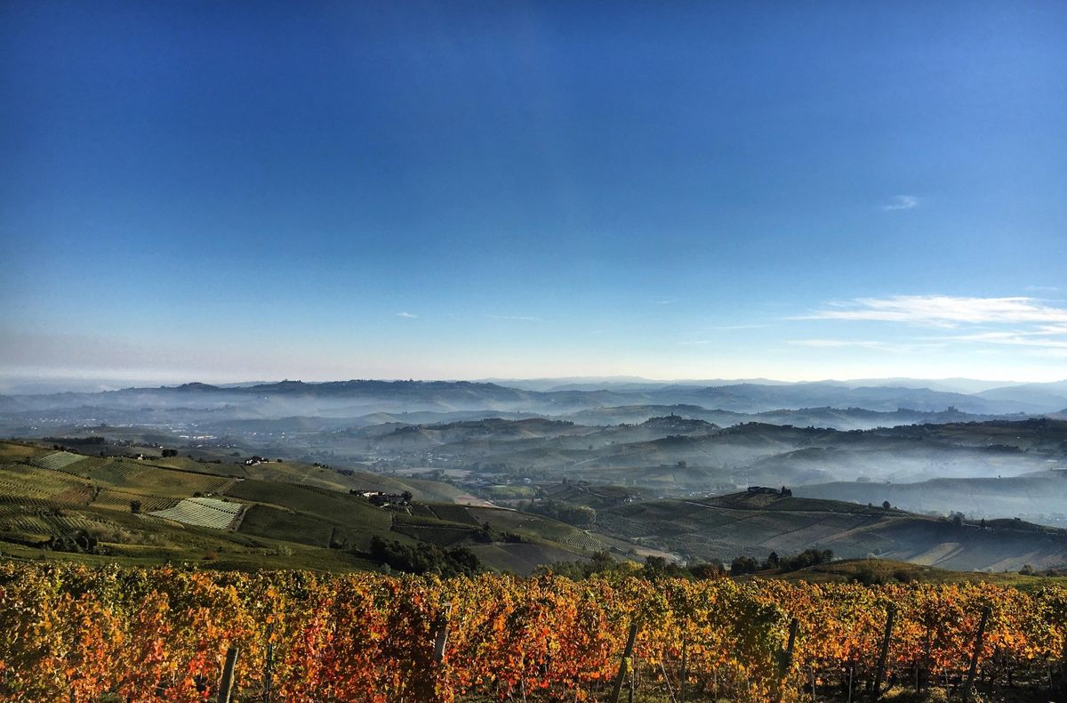 Vigneti del Bricco delle Viole nelle Langhe